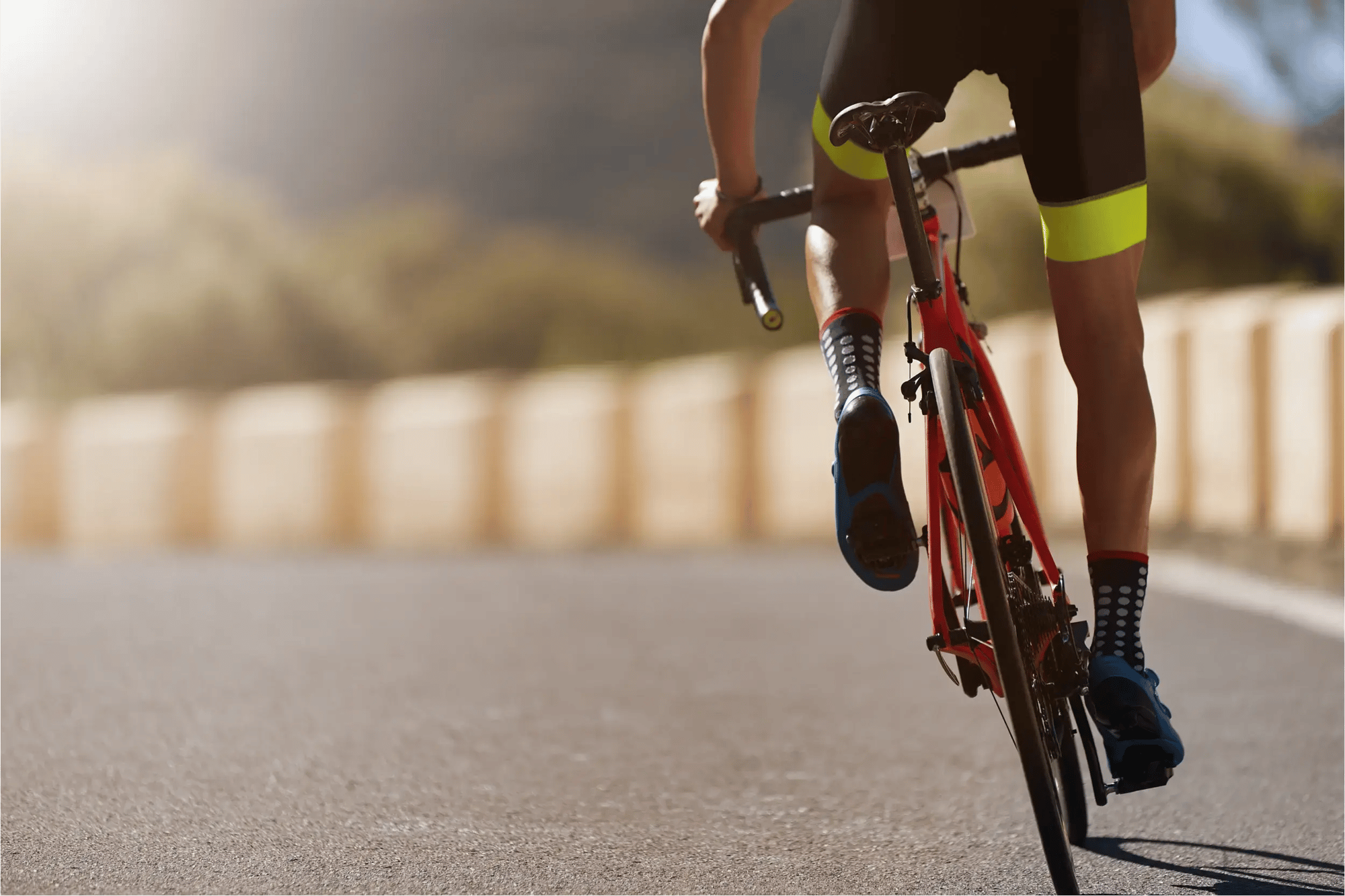 Wielrenner fietst op een zonnige weg, van achteren gefotografeerd, met de benen en racefiets scherp in beeld.