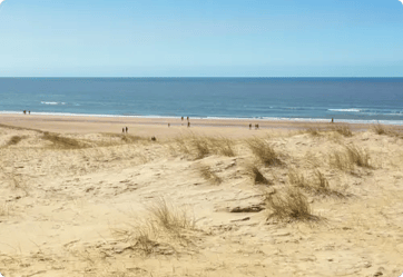 Strand van Bloemendaal overdag
