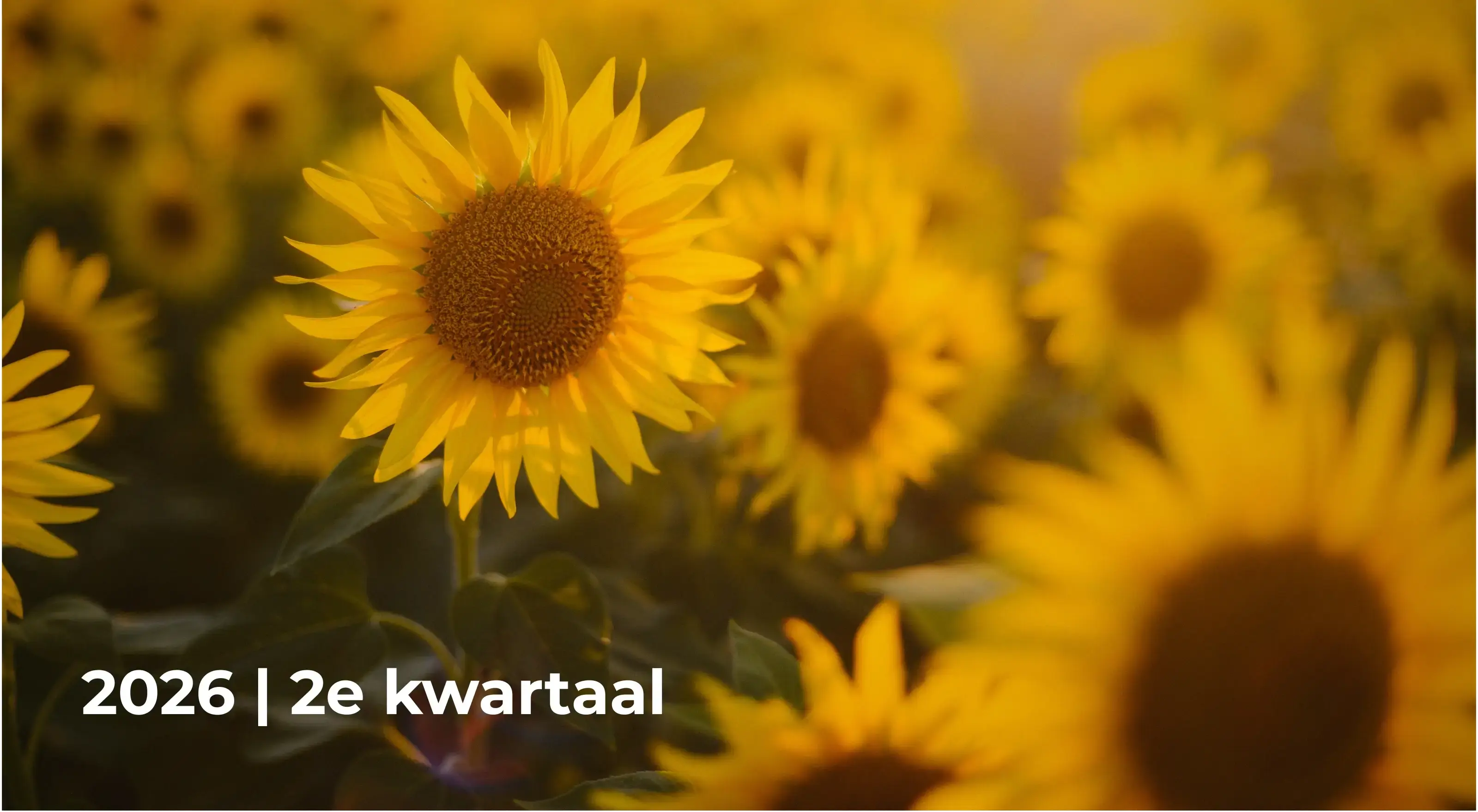 Kwartaalbericht 2026 Q2